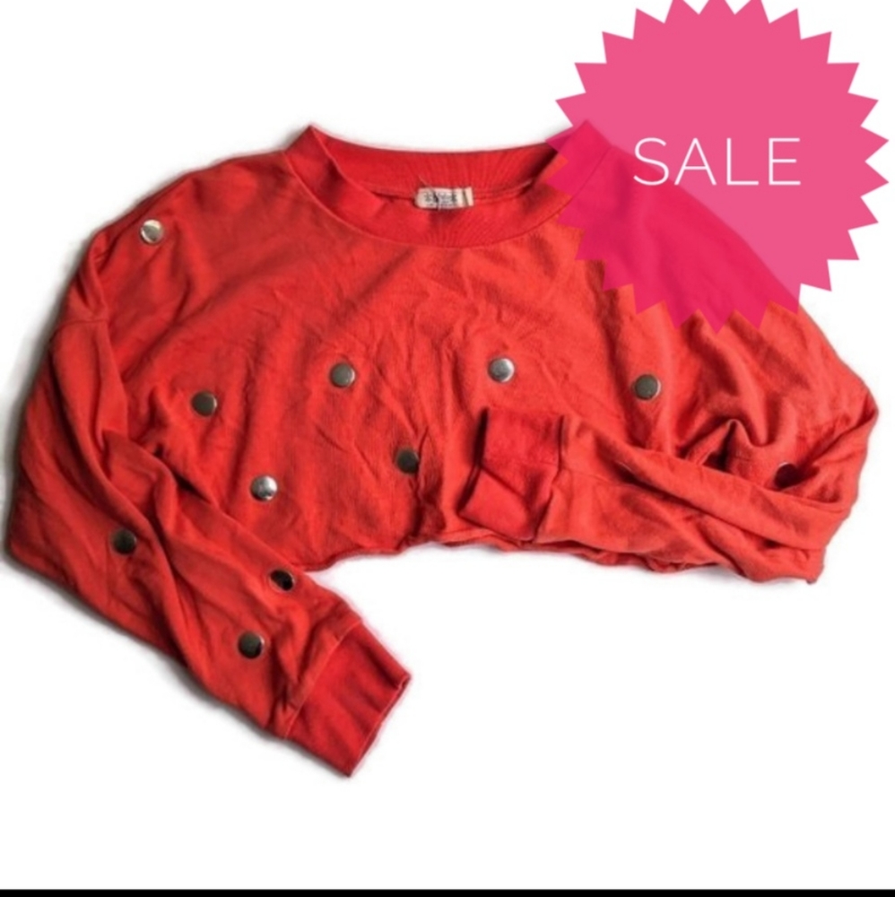 NWOT Lnk Landscape Long Sleeve Crop Top